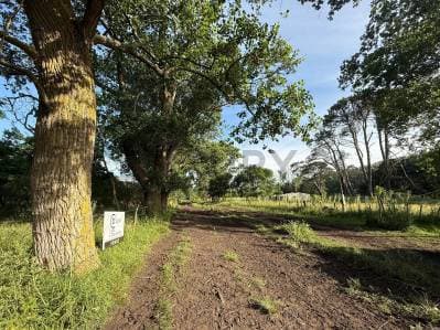 Venta de 2 lotes unificado en Zona Cabo Corrientes, Mar del Plata. - 3