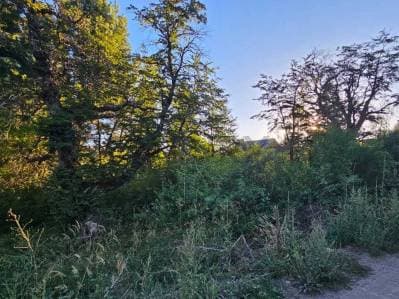 VENTA TERRENO SAN MARTIN DE LOS ANDES. KALEUCHE BAJO - Principal