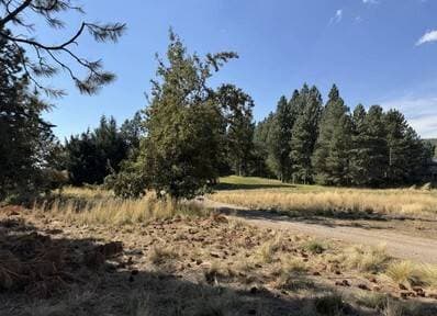 VENTA LOTE SAN MARTIN DE LOS ANDES. CHAPELCO GOLF - 2