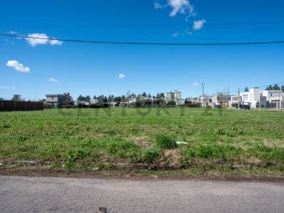 Terreno en venta en DON CARLOS - 4