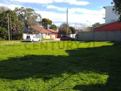 VENTA LOTE 268 m2 PUNTA MOGOTES - 2
