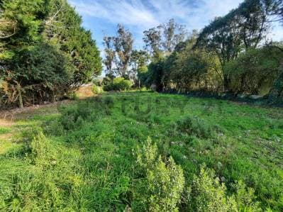 Venta lote- Sierra de los Padres - 5