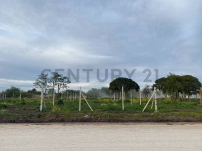 212 y 41. LOTE EN LISANDRO OLMOS 10X26 - Principal