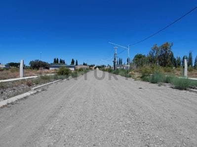 VENTA DE LOTE EN RIVADAVIA, MENDOZA. - 4