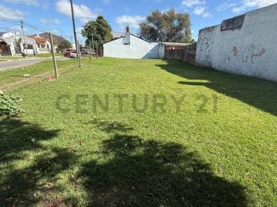 VENTA LOTE SAN MARTIN Y ARMENIA 398m2 - Principal