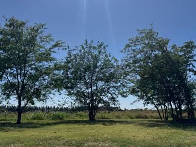 LOTE EN VENTA - 5