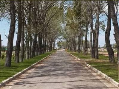 VENTA LOTE INTERNO- LA ALAMEDA ETAPA 3, CANNING - 4