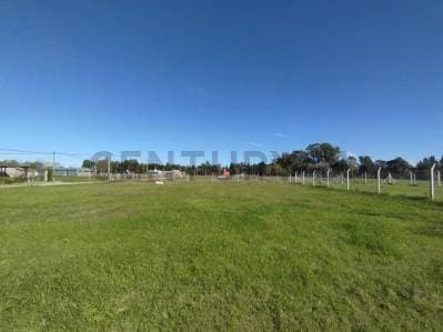 TERRENO EN VENTA EN SICARDI - Principal