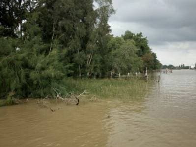 LOTE DE 30000 M2EN VENTA RIO LUJAN Y CANAL ARIAS - 2