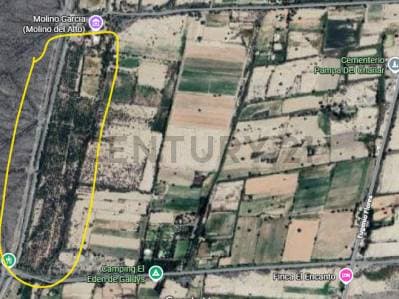Venta en Jachal de 8,7 ha lindante a Molino Alto - Con Olivos - Principal