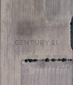 Campo agrícola 6 Hectareas (60000 m2) - Maciel - Proximidad Ruta 11 - 2