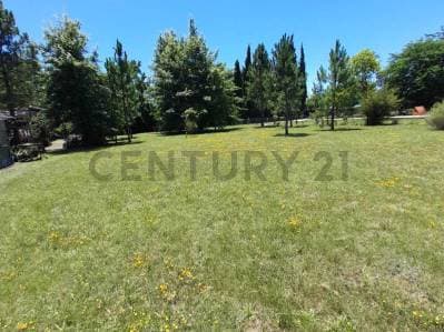Lote en venta en arturo segui - Principal