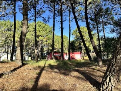Venta Lote en Pinamar Norte - Costa Atlantica - Principal