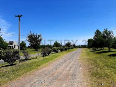 Lotes en venta Ibarlucea Barrio cerrado Las Casuarinas - 3