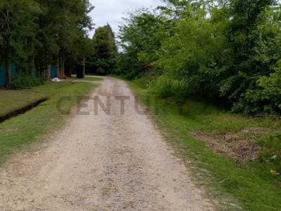 Lote en venta - Principal