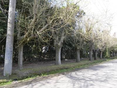 Venta Lote Esquina 984 m2 | Calle 477 y 26 - City Bell - La Plata - 3