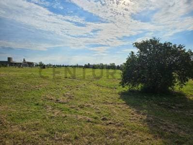 LOTE EN VENTA EL MIRADOR CLUB DE CAMPO - BRANDSEN - Principal