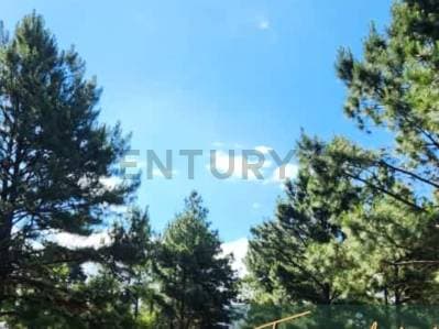 Lote en barrio privado de montaña — Villa Yacanto, Valle de Calamuchita - 2