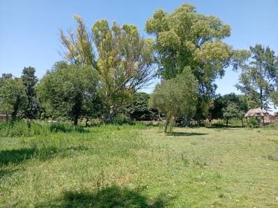 139 ENTRE 524 Y 525 - TERRENO EN VENTA DE 3597M2. SAN CARLOS, LA PLATA. - Principal