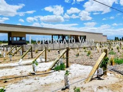 Century 21 López vende Lote en Barrio Privado Tupungato Valley Valle de Uco MendoA - Principal