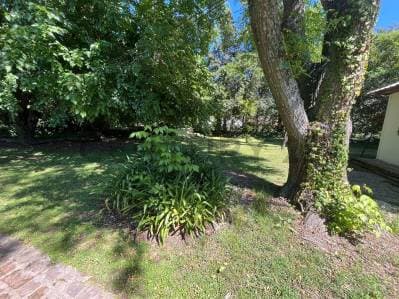 Lote en venta en Arturo Segui - 3