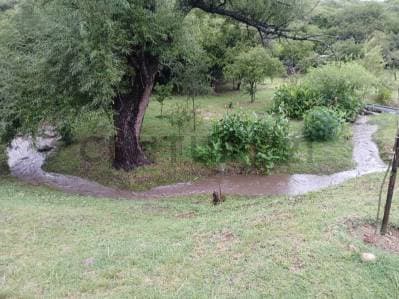 LOTE EN VENTA 3 HECTAREAS VILLA CERRO AZUL - 2