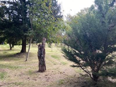 Lote en Venta en Barrio Las Ranas - Paraje La Balandra - Berisso - 5