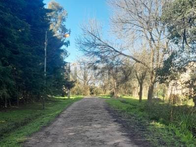LOTE EN VENTA EN EL PATO - Principal