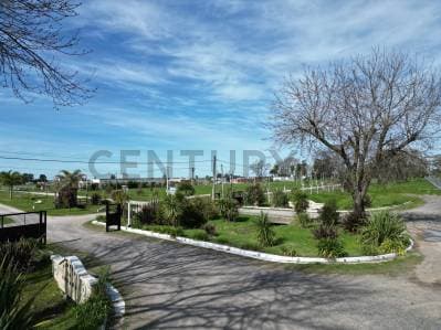TERRENOS EN FINCAS LA SOÑADA RUTA 11 Y 650 ESCRITURA INMEDIATA 1000 MTS - Principal