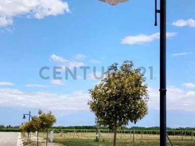 Century 21 López vende Lote en Barrio Privado Tupungato Valley Valle de Uco MendoA - 2