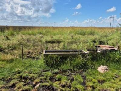 Campo ganadero de 90 hectáreas en Recalde, Olavarría - 3