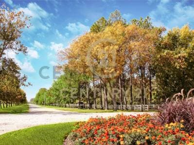 Lote en venta - 5