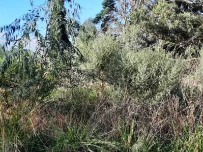 TERRENO EN VENTA - SIERRA DE LOS PADRES - 645 m² - 5