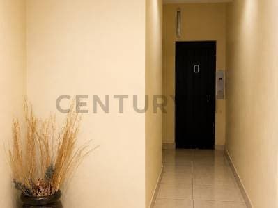 VENTA DEPARTAMENTO SUPER LUMINOSO 4 AMB + DEPENDENCIA - 2