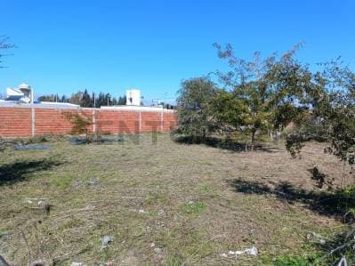 Lotes en venta en Lisandro Olmos - 5