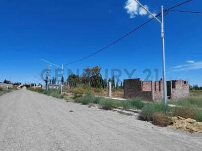 VENTA DE LOTE EN RIVADAVIA, MENDOZA. - 5