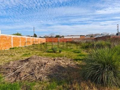 146 y 35 - Lote en venta - La Plata - 3