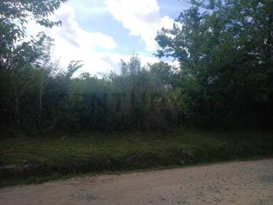 474 entre 155 y 158- Lote - en venta- City Bell -La Plata - 3