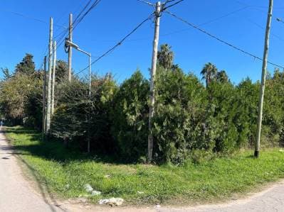 Venta en bloque – 3 lotes linderos en Villa Elvira, La Plata - 3