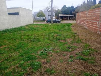 Venta - Terreno - Gessler - 5