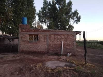 Finca productiva en venta. - 4