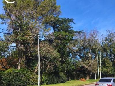 VENTA LOTE RANELAGH - 3