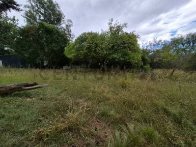 TERRENO 5000M2 EN SAN CLEMENTE - A 2 CUADRAS DE LA RUTA - - - 4