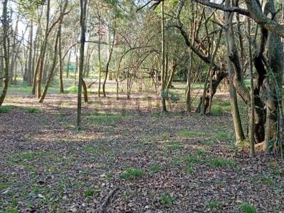 Venta de Lote en Villa Elisa - 4