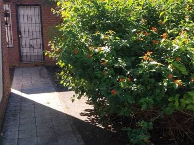Venta de casa de 3 dormitorios con parque en La Plata - 2