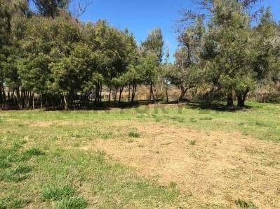 Terreno en venta en Veronica - Principal