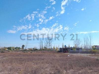 VENTA TERRENO, JOCOLI VIEJO, LAVALLE, MENDOZA - Principal