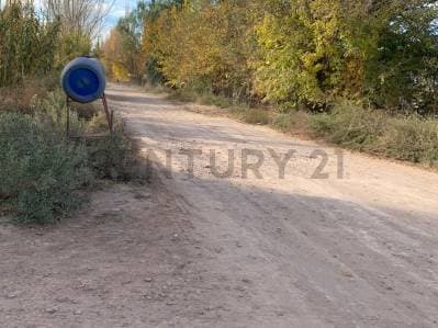 TERRENO DE UNA HECTÁREA EN VENTA EN RODEO DEL MEDIO, MAIPÚ, MENDOZA. ID: 347594 - Principal