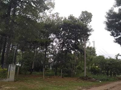 Excelente lote en Rincón Km 10 - 4