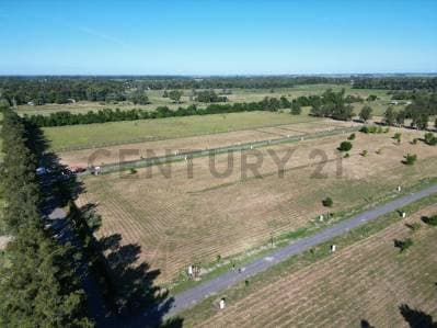 637 Y 31 LOTES EN VENTA, LOS PINARES, ARANA - 4